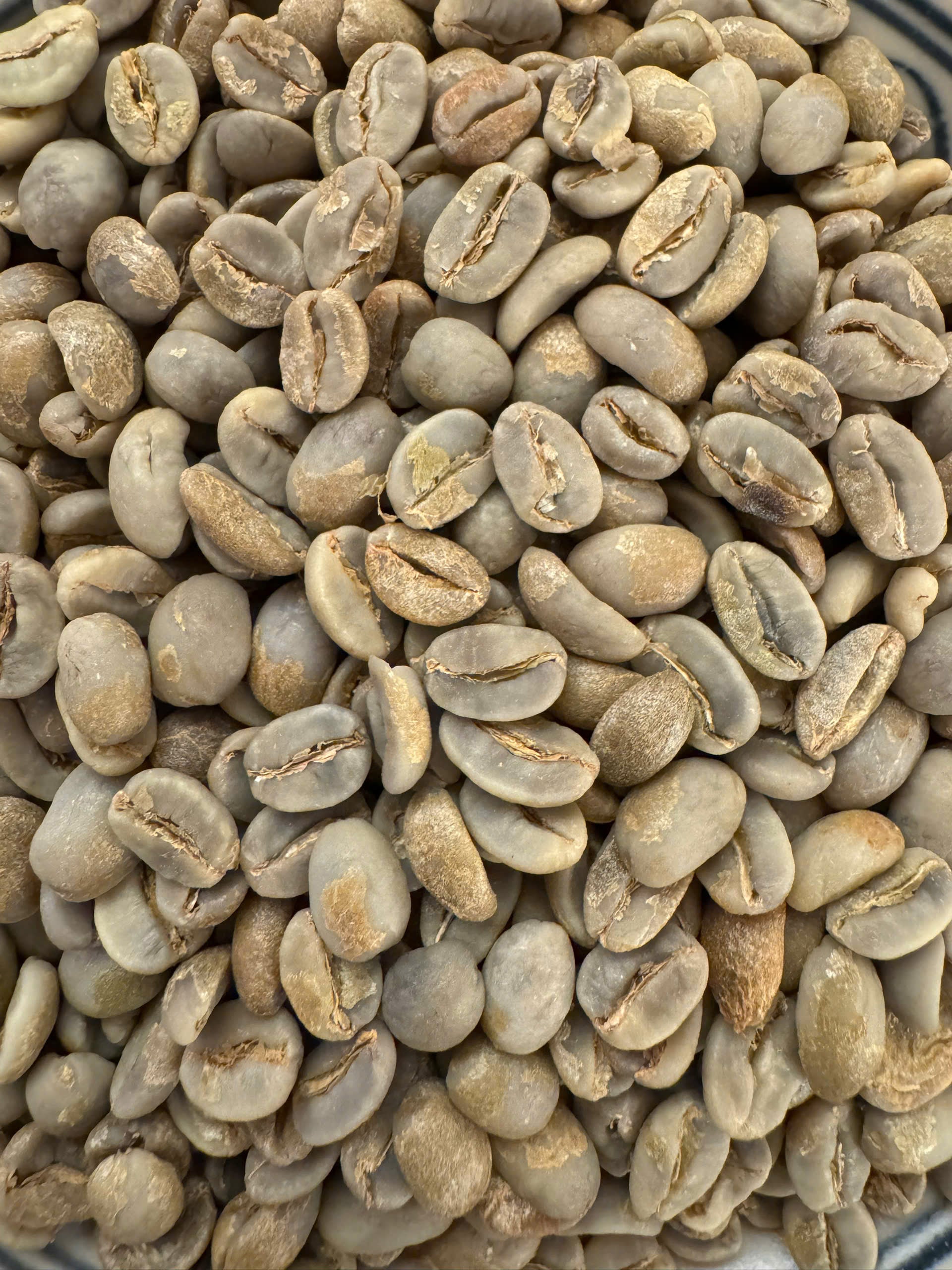 Arabica Typica Hoàng Yên - Cầu Đất