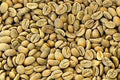 Arabica THA1 Hoàng Yên Natural