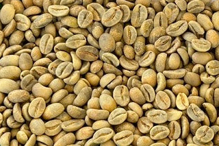 Arabica THA1 Hoàng Yên Natural