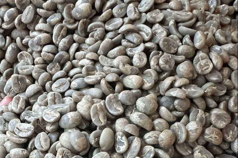 Arabica THA1 Hoàng Yên Washed