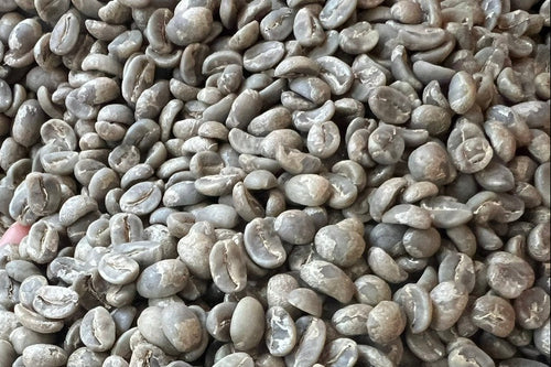 Arabica THA1 Hoàng Yên Washed