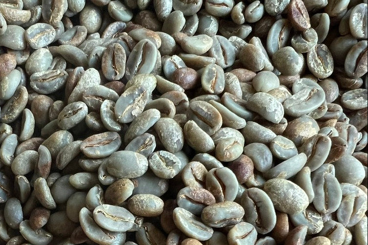 Typica Hoàng Yên Honey