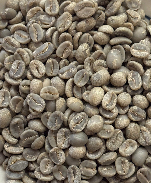 Arabica Catimor Chị Loan - Cầu Đất Washed
